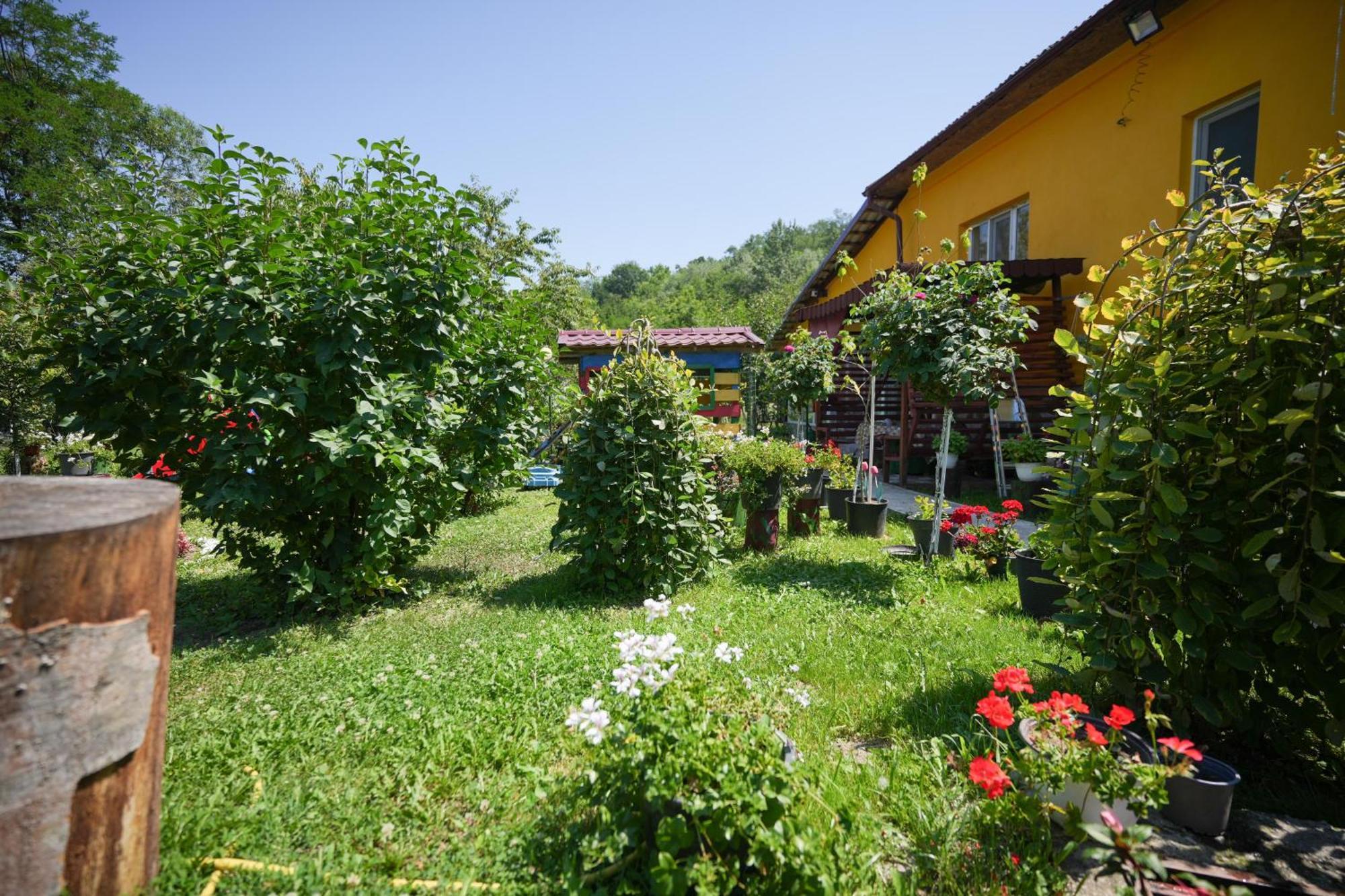 Casa Ion Lägenhet Horezu Exteriör bild