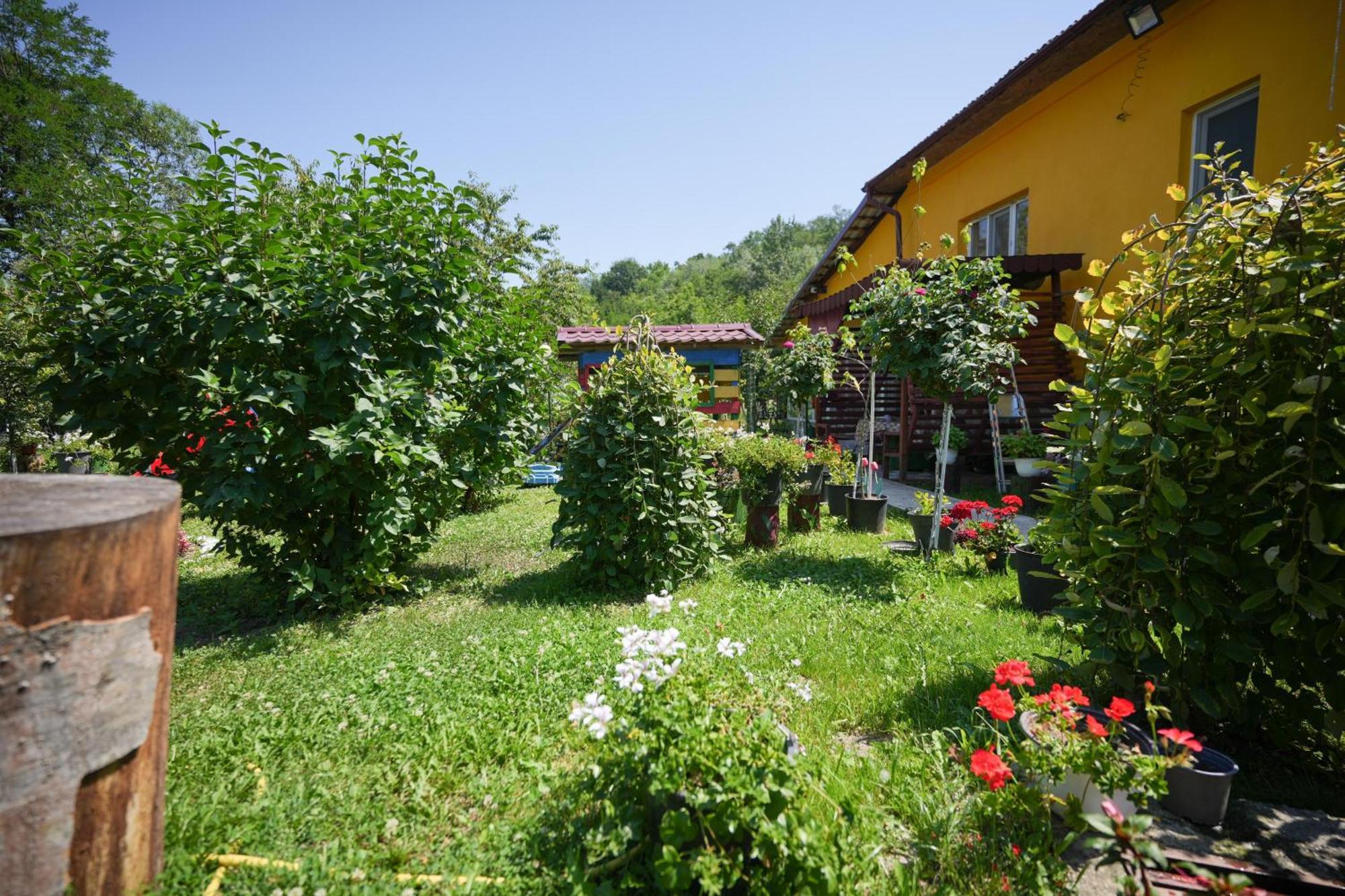 Casa Ion Lägenhet Horezu Exteriör bild